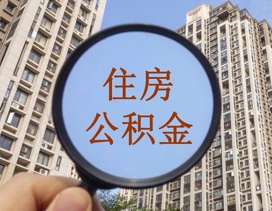 禹州可以用公积金贷款的app（禹州公积金个人消费贷款怎么贷）
